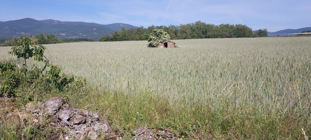 Sublime paysage