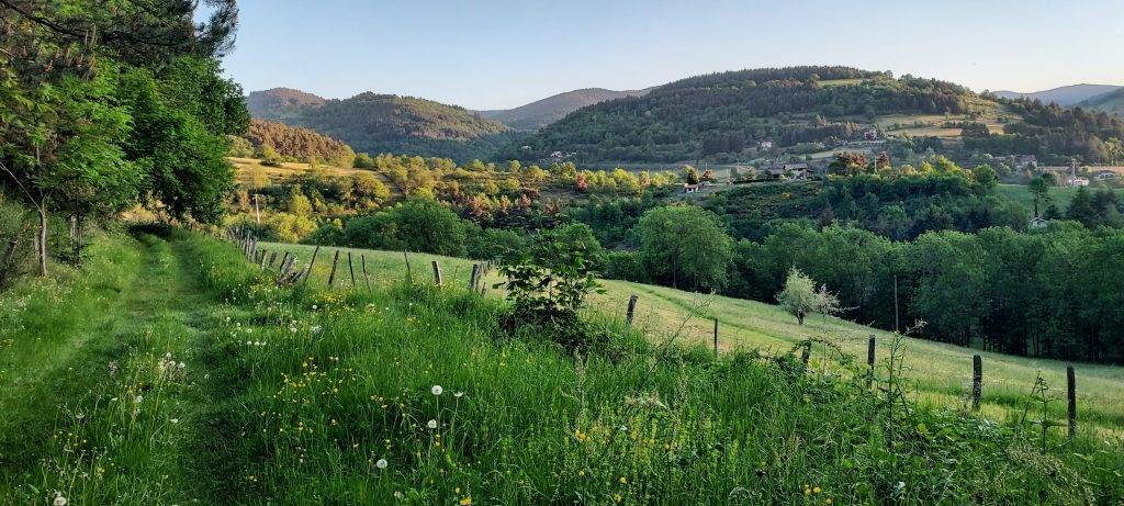 Campagne sur le GR65