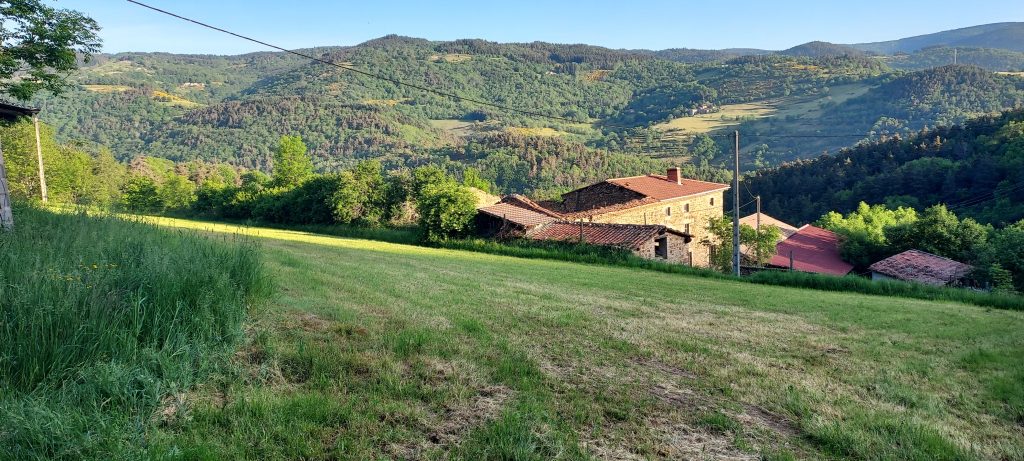 Entre Bourg-Argental et Etiennfy sur le GR65