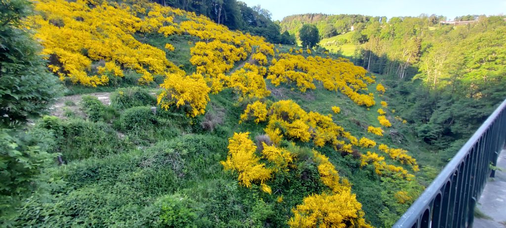 Belles couleurs de printemps